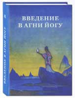 Стульгинскис_Введение-в-АЙ.jpg