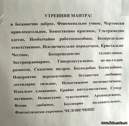 утро.jpg